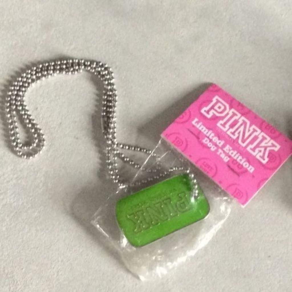 Victorias Secret Pink Green Dog Tag Necklace 27$